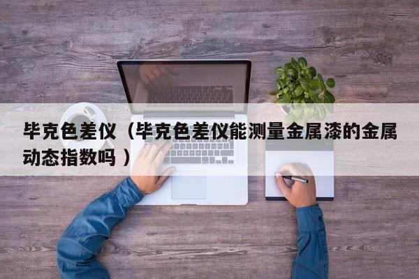 毕克色差仪（毕克色差仪能测量金属漆的金属动态指数吗 ）